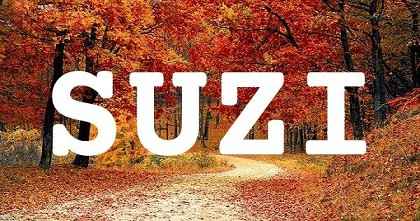 SUZI英文名字意義