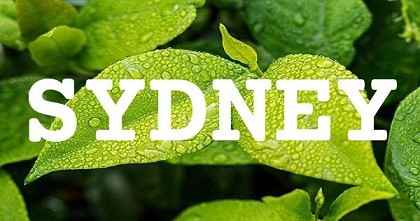 SYDNEY英文名字意義