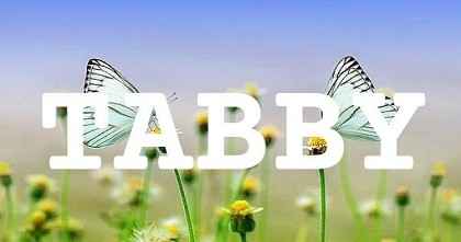 TABBY英文名字意義