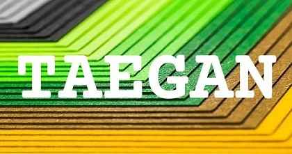 TAEGAN英文名字意義