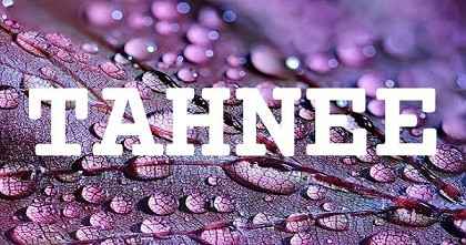 TAHNEE英文名字意義