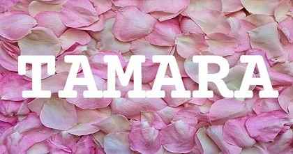TAMARA英文名字意義