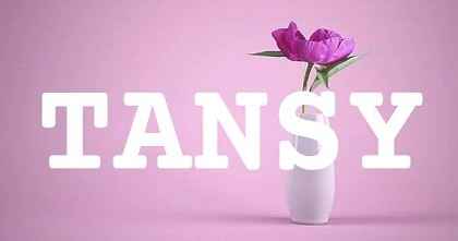 TANSY英文名字意義