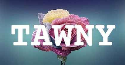TAWNY英文名字意義
