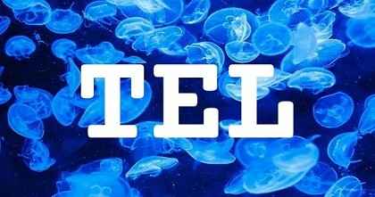 TEL英文名字意義