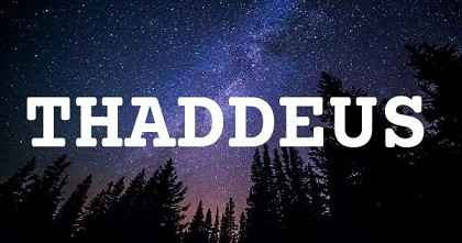 THADDEUS英文名字意義