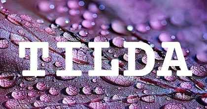 TILDA英文名字意義