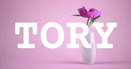 TORY英文名字意義