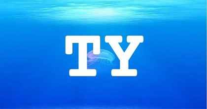 TY英文名字意義