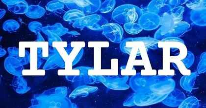 TYLAR英文名字意義