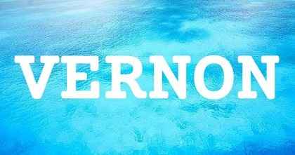 VERNON英文名字意義