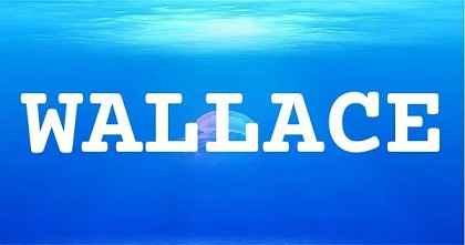 WALLACE英文名字意義