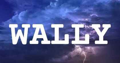 WALLY英文名字意義
