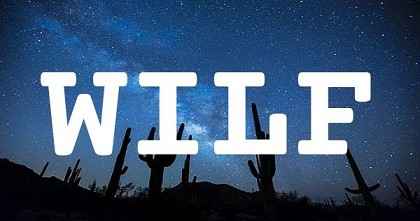 WILF英文名字意義
