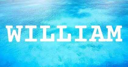 WILLIAM英文名字意義
