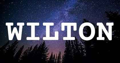 WILTON英文名字意義