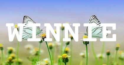 WINNIE英文名字意義