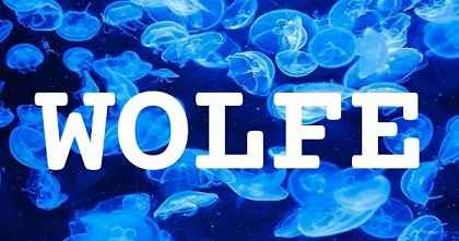WOLFE英文名字意義