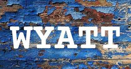 WYATT英文名字意義