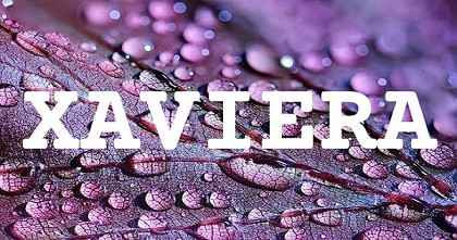 XAVIERA英文名字意義