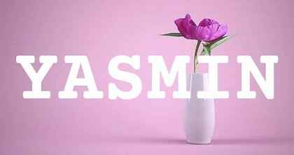 YASMIN英文名字意義