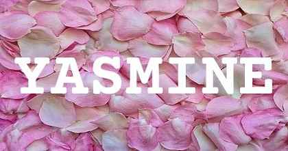 YASMINE英文名字意義