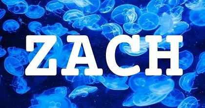 ZACH英文名字意義