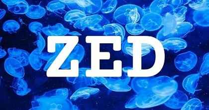 ZED英文名字意義